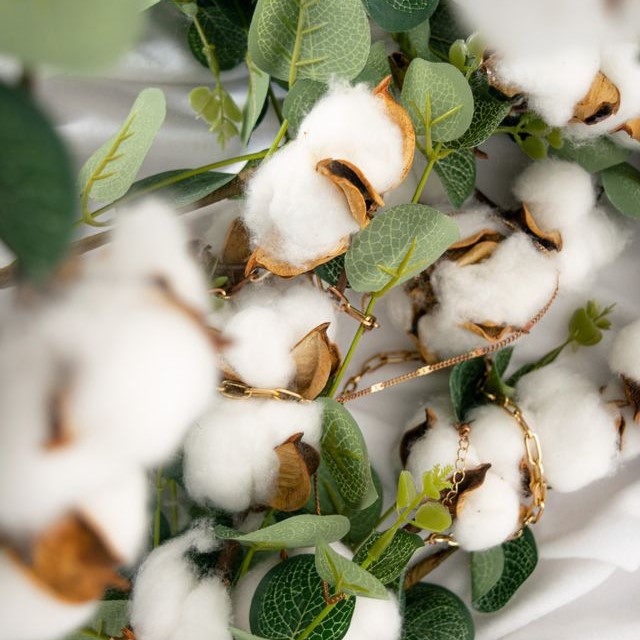 fleurs de coton